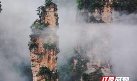 张家界疫情病原(中国疫情有哪些)