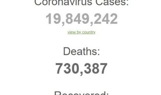 中国目前新冠病例数据，病例数据统计分析