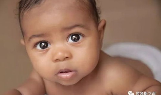 日本新生儿变异，日本新生儿数量