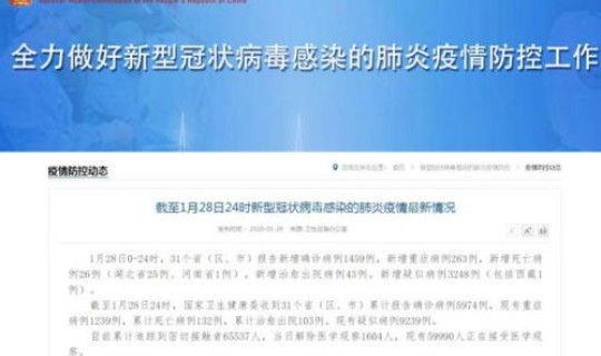 29日新增病例最新消息，31个省今天新增多少例