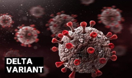 病毒传染几代后毒性降低了？感冒病毒好了多久就没有传染性了