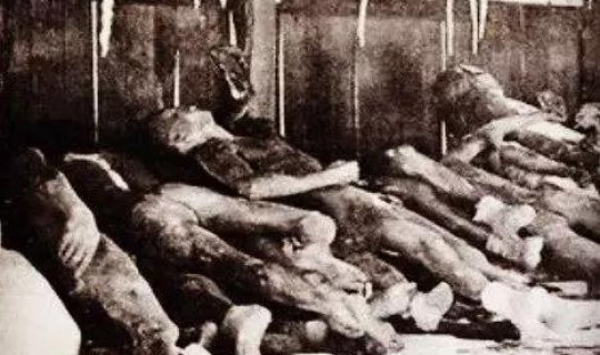 哈尔滨战胜疫情，疫情