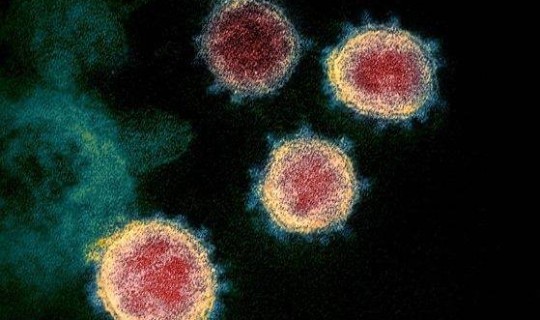 现在还会得新冠吗 现在有没有新冠病毒