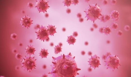 世卫组织确定新冠病毒源头？新冠病毒的来源