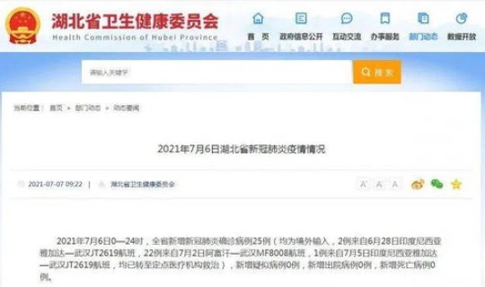 境外输入问题大吗(有网友建议暂停航班)