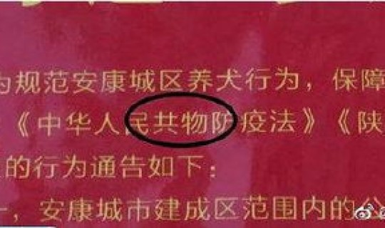 上海防疫通告，上海市人民政府关于加强养犬管理的通告