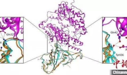 武汉江夏区新型冠状病毒，武汉发现新冠病毒的时间