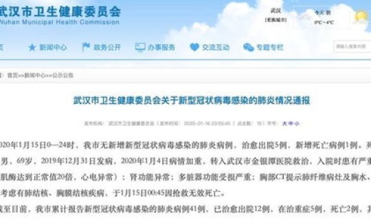 武汉新增感染者 武汉出了什么病毒