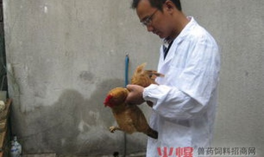 沈阳疫情会扩大吗(疫情)