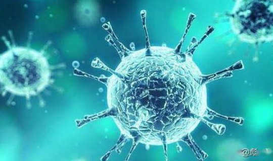 北京疫情发源地是什么市场？北京现在有什么病毒感染