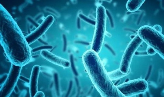 河南病毒感染最新消息2021？病毒感染和细菌感染哪个严重