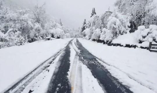 石家庄姑娘一年被隔离6次(石家庄最大的雪是哪年)