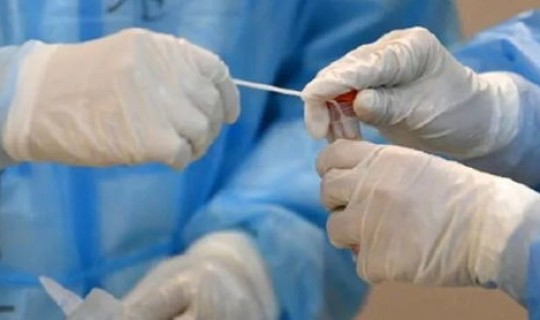 沈阳新增本土确诊营口(辽宁新增本土确诊详情) 沈阳新增本土确诊营口(辽宁新增本土确诊详情)