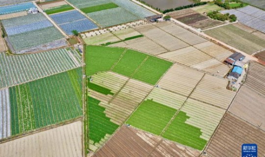 闽侯县南通镇邮编(福建南通镇)