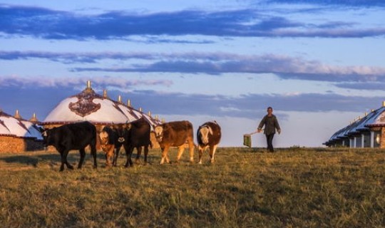 内蒙古两例都是哪的 内蒙古是黑龙江的嘛