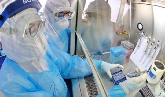 乘火车离京需核酸检测(核酸检测hiv有没有意义)