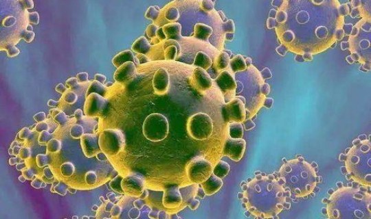 上海有什么病正在发生，上海最近的病毒感染是什么情况