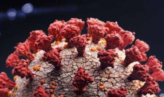 新冠变异株的五种(新冠变异毒株有几种)