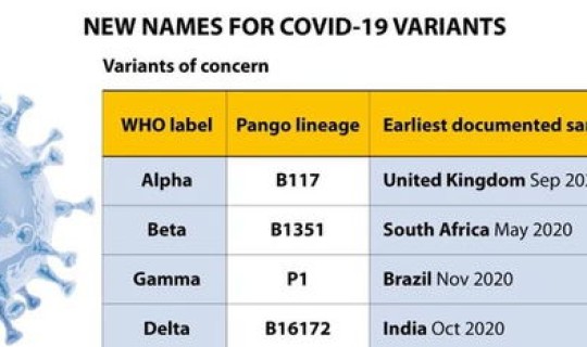 中国本土变异病毒 此次病毒的来源是哪里