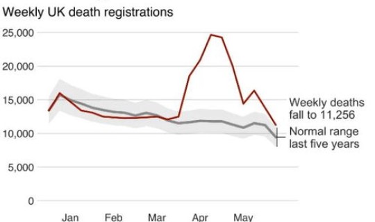 美新冠疫情最新消息大数据(如何查看国外疫情最新人数)