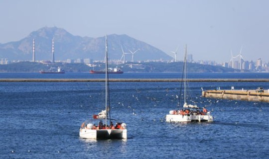 烟台市至大连船票？烟台市内最近港口坐船去大连