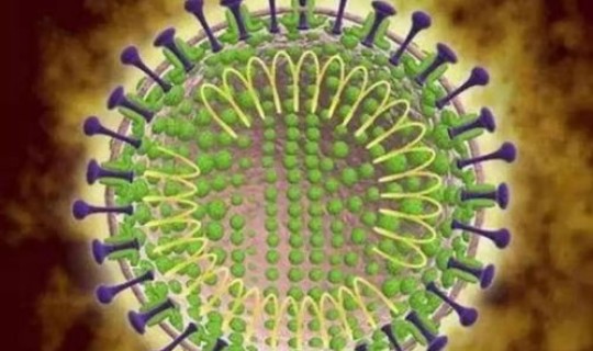 新型冠状病毒长期与人类共存(冠状病毒潜伏期)