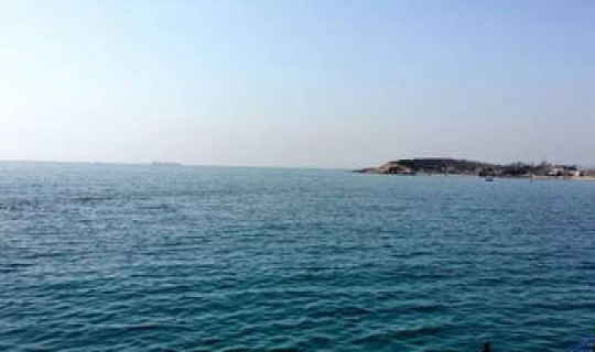 请问青岛是哪个省的 山东青岛挨着哪个省