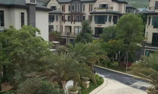 石家庄疫情新增病例详情？石家庄最近病毒感冒