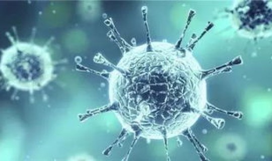 病毒已经变异了 乙肝病毒变异