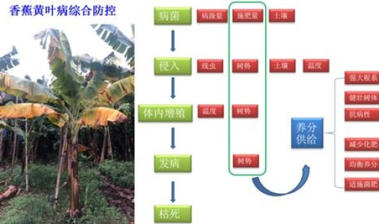 防聚集措施(区域防突措施包括)