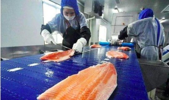 疫情可能二次爆发吗现在(疫情二次爆发期是什么时候)