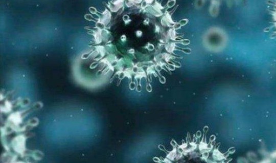 现在哪些国家没有新冠病毒，新冠状病毒