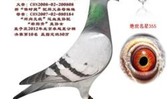 河北邢台公棚？河北邢台正义赛鸽公棚