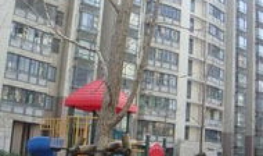 上海小区有哪些名字好听，上海的小区有哪些