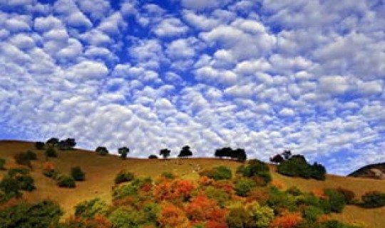 新疆传染源头，艾滋最开始的源头