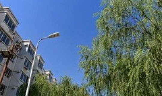 桥西区在哪个城市啊？桥西区小区排名