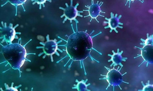 湖南病毒最新消息2021(新病毒的最新消息)