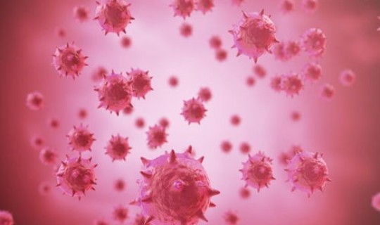 陕西新冠疫情动态，陕西有新冠疫情吗