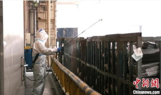 陕西最新隔离措施	，接触隔离措施