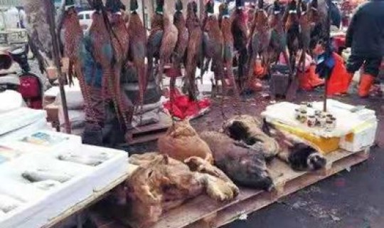 昆明新型肺炎封路情况(云南昆明发现1例新型肺炎)