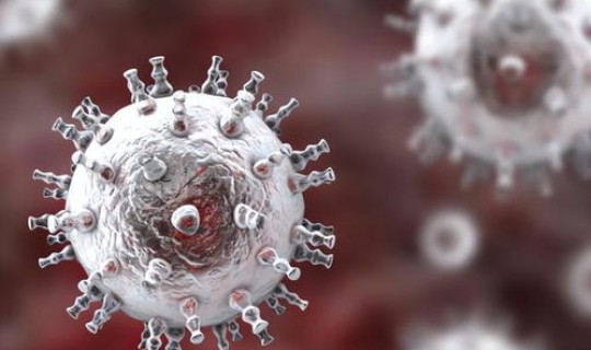 病毒多久消失？体内的病毒会不会消失