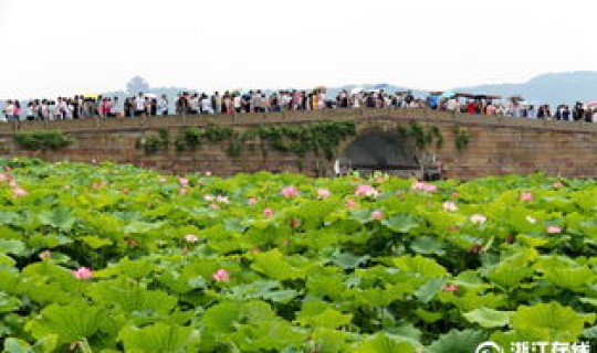 6月的杭州天气，2月份杭州天气穿什么