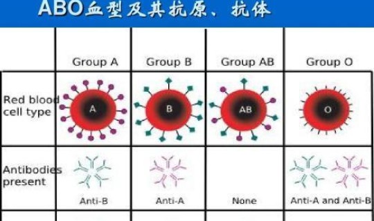 全国累计多少例新冠肺炎？中国新冠感染率是多少