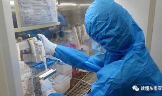 越南疫情死亡病例(越南最近有什么病毒没有)