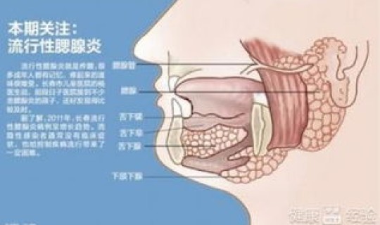 广州究竟有多少人感染了？广州最近流行传染疾病