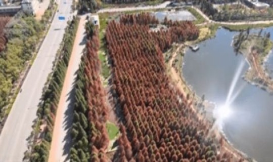 高速公路元宵节免费吗今天(元旦节免费吗高速公路)