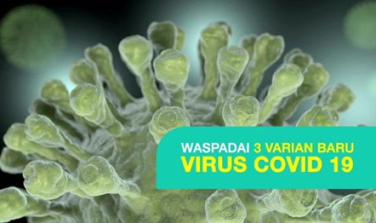 毒株和新冠的区别 毒株是什么病毒