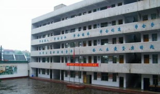 石家庄桥西区新冠疫情，石家庄桥西区育新小学介绍