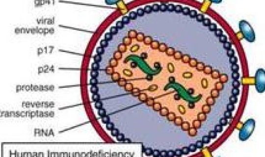 西安市第二轮核酸检测时间 hiv核酸检测准确率