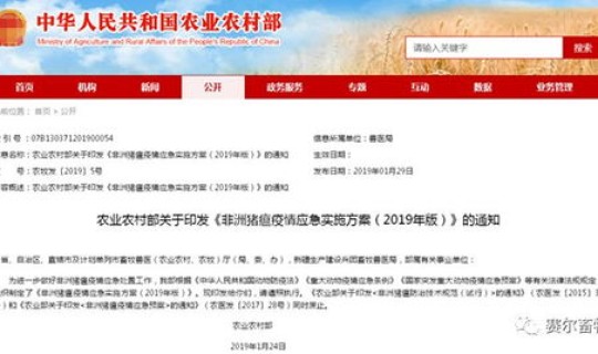 非疫区回来需要报备吗最新(现在回国还需要报备吗) 非疫区回来需要报备吗最新(现在回国还需要报备吗)